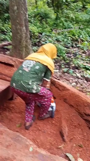 The expert in the powerful MS070 machine processes hardwood..💪 Salam satu #profesi #operator #pemula #chainsaw #stihl #germany #seluruhdunia #semuaorang #pengikutreels #wood #working #tidore #MalukuUtara #Indonesia #fbpro #motivasi #publik | Muhammad Ali Ai