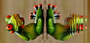 Captation 3/4 J3 FodeFo EVAR-S du 14-10-2025