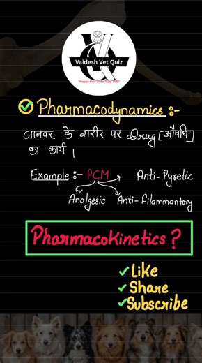 Pharmacodynamics defination #vaideshvetquiz #shortsfeed #veterinary