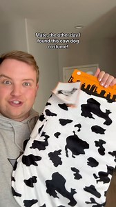 Cow Dog Costume! #disney #emperorsnewgroove #funnyreels #disneyreels #dogreels #mrthomasenglish | Mrthomasenglish