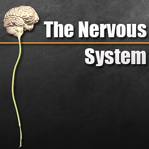 CTE Skills - Career & Technical Education Training Videos