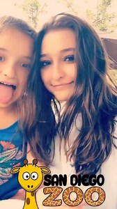 Teilor at the zoo a few days ago (Credit: Teilor on instagram) | Teilor Grubbs Fan