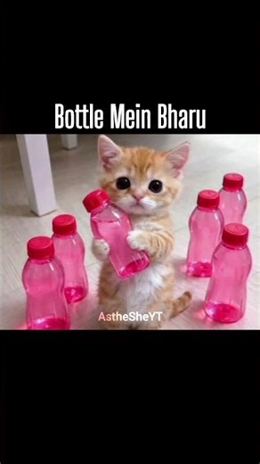 Full Version ☝️😹 #editlyrics #shortvideos​ #teramerapyaramar #viralvideos​ #popular​#cover #catchy