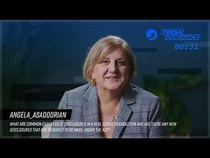 What are common examples of disclosures in a real estate transaction?