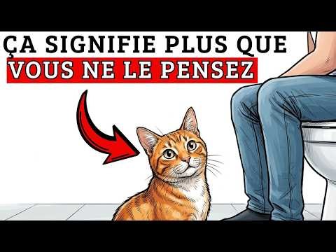 Si votre CHAT vous suit aux TOILETTES, il sait quelque chose que VOUS ne REMARQUEZ pas…