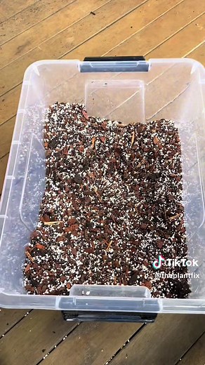 DIY Potting Mix: Perfect Soil Mix for Your Plants