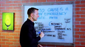 17K views · 251 reactions | In this video, I explain the truth about the ketogenic diet putting your body into an emergency state. | Dr. Eric Berg | Facebook