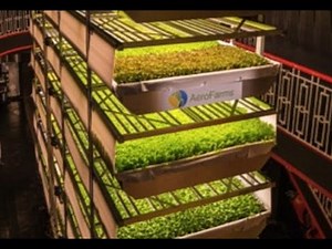 AeroFarms.. the world's biggest vertical farm