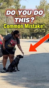 47K views · 606 reactions | When we’re working with reactive dogs, or...