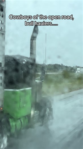 #bullhauler #cattlehauler #truckergirl #truckerlife #truckersoftiktok #peterbilt #kenworth