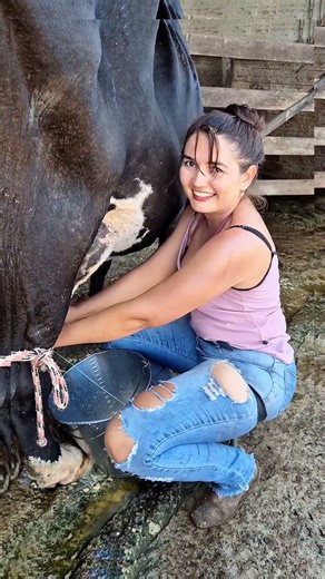 Cattle Nutrition Guide: Feeding and Supplementing for Better Growth #rurallife #cow #shorts #farm