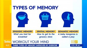 3.7K views · 34 reactions | It's no secret that regular exercise can help improve brain functions, but this relationship may be stronger than we think. New research has revealed that different types of workouts can improve different kinds of memory. #9Today | WATCH LIVE 5.30am | TODAY | Facebook
