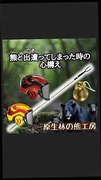 ［生存戦略］もしも熊に出遭ったら？命を守るための心構えと装備を解説