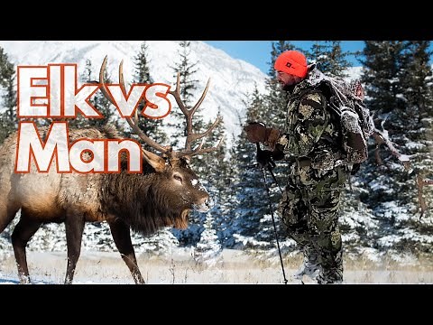 Wyoming Bull Elk Hunt!