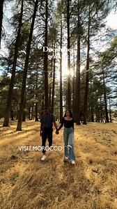 12 months, 12 incredible destinations in Morocco. 🌟 Where will 2025 take you? | Visit Morocco