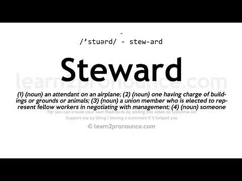 Steward pronunciation and definition