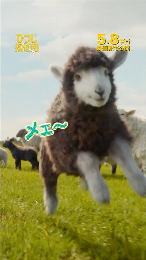 ＜🐏メェ～場面だらけ‼️＞もふもふのひつじたちが名(メェ～)探偵に❗️『ひつじ探偵団』5/8(金)公開🍀笑って泣ける名(メェ～)作ミステリー🐏