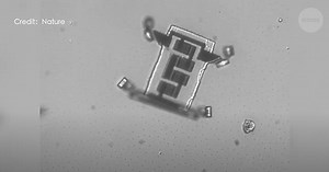 Novi korak u razvoju mikrorobota koji bi se mogli koristiti u medicini