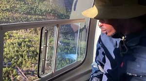 Cape Town fights alien trees threatening its water supply, biodiversity