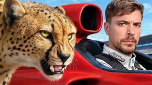 Worlds Fastest Car Vs Cheetah!