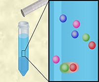 Determining the Solubility Rules of Ionic Compounds