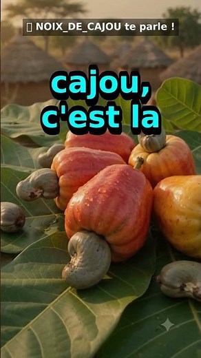 🌸 Noix_de_cajou te parle - bienfaits et conseils