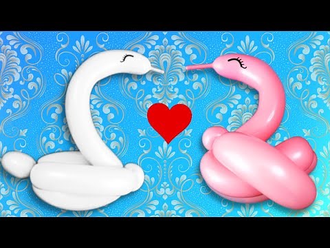 SWANS: Easy Swan Balloon Animals for Beginners #balloonanimals #swan #balloonanimal