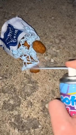 FIRST time trying Culvers 🥳🎉💕 #foodreviews #culvers #goofystring | Liam’s Lunchbox