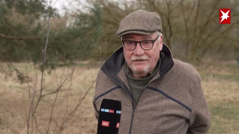 Wolf greift Frau an – und läuft dann durch halb Hamburg