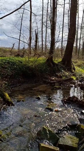 Ich stehe hier an einem Bach im deutschen Wald, der leise und friedlich seine Bahn zieht – ein Bild von Frieden, Klarheit und innerer Stärke. Genau das, was wir uns für Deutschland wünschen, symbolisiert dieser zauberhafte Ort 🇩🇪Einen wunderschönen Tag euch allen!