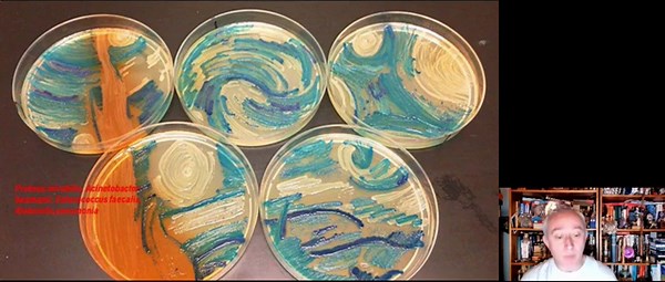 Microbiology as Art