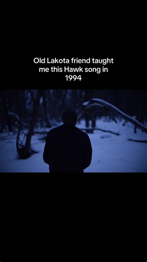 The Hawk Song An old Lakota friend taught me this hawk song back in 1994. It was when my brother Wade a.k.a. Desert hawk was killed with two other cousins in a train auto accident.#me #utah #nature #fyp #mentalhealth