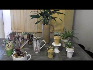 DIY: Re-Purpose Thrift Store Finds into Creative Planters & Plant Pots 🌼