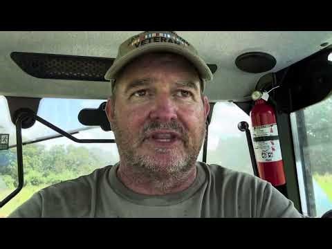 Why I Used a Haybine Instead of a Disc Mower on This New Hayfield | NH 472 + Workmaster 75