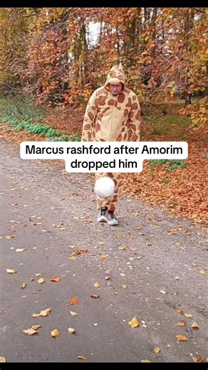 Infinite Meme on TikTok