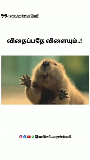 1.8M views · 10K reactions | விதைப்பதே விளையும்..! #motivation #motivationalvideos #humanity #shorts #reels #tamil | Motivation Quote தமிழ் | Facebook