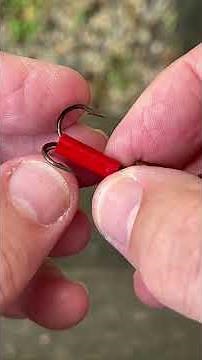 Mepps Gold Inline 10 29 2025 #jeffmcgovern #pestcoach #mepps