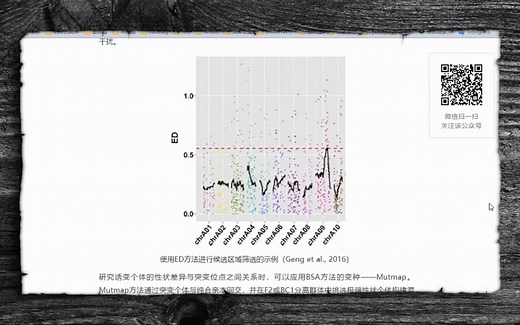 BSA性状定位简介
