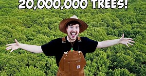 #TeamTrees: Spendenaufruf für 20 Millionen Bäume geht viral