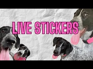 How to create and use Stickers / Live Stickers on your iPhone ios 17