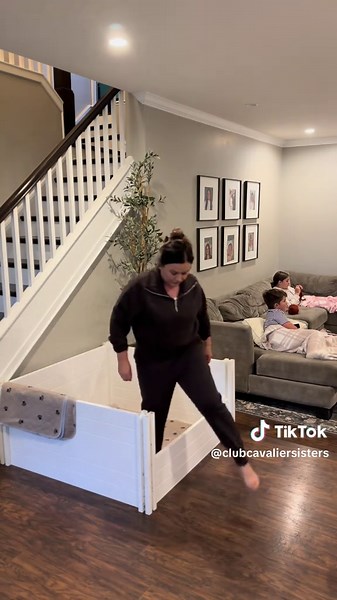 Setting Up Mae’s Birthing Box for Cavalier Puppies