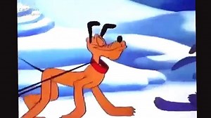 Pluto Walt Disney The Army Mascot Cartoons For Children