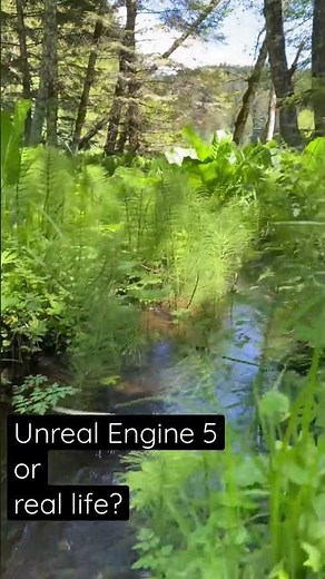 Unreal Engine 5 or real life? Is it nature or Nanite!?