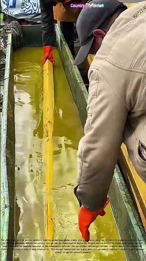 Wood Protection Magic: Transforming Timber into Durable Gold