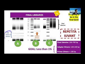 W16: Library Prep for NGS- Day 2