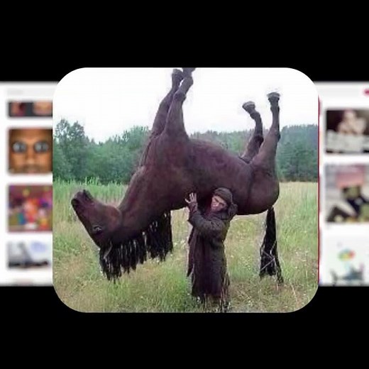 Funny Pinterest memes 12 #pinterest #memes #shorts