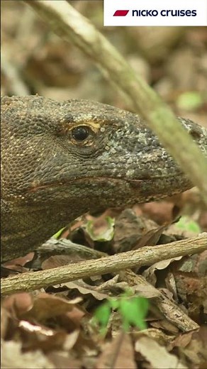 Indonesien zeigt, wie spektakulär Natur sein kann!