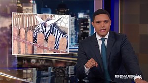 769K views · 11K reactions | An Egyptian zoo is accused of passing off a painted donkey as a zebra. What’s the issue? | The Daily Show | Facebook
