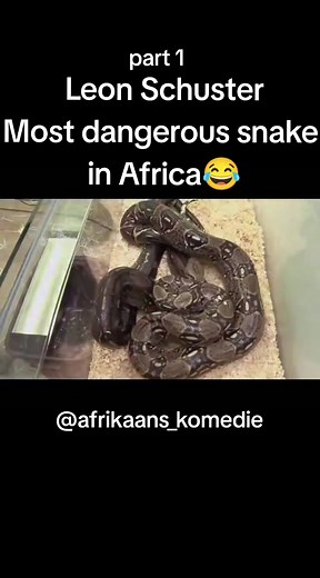Leon Schuster Classic Prank Video - Most Dangerous Snake in Africa 😂
