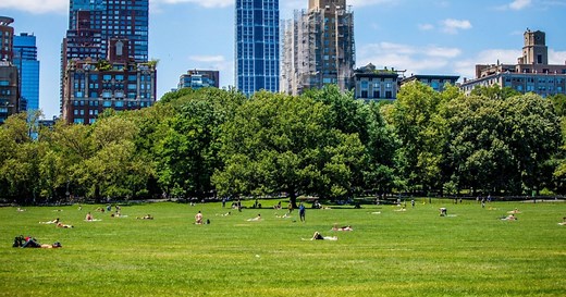 Sheep Meadow